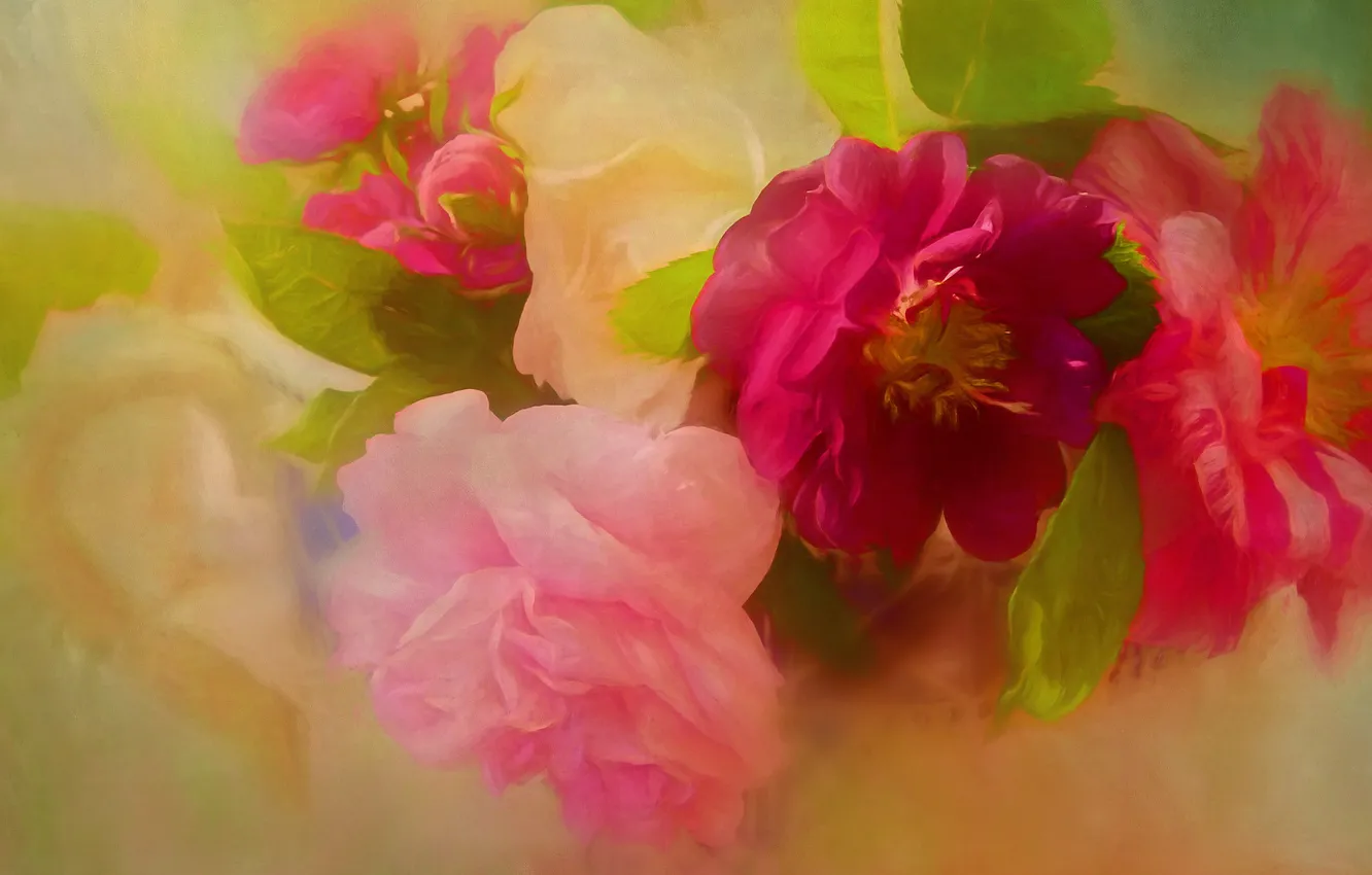 Photo wallpaper flowers, green, background, bright, figure, roses, bouquet, petals