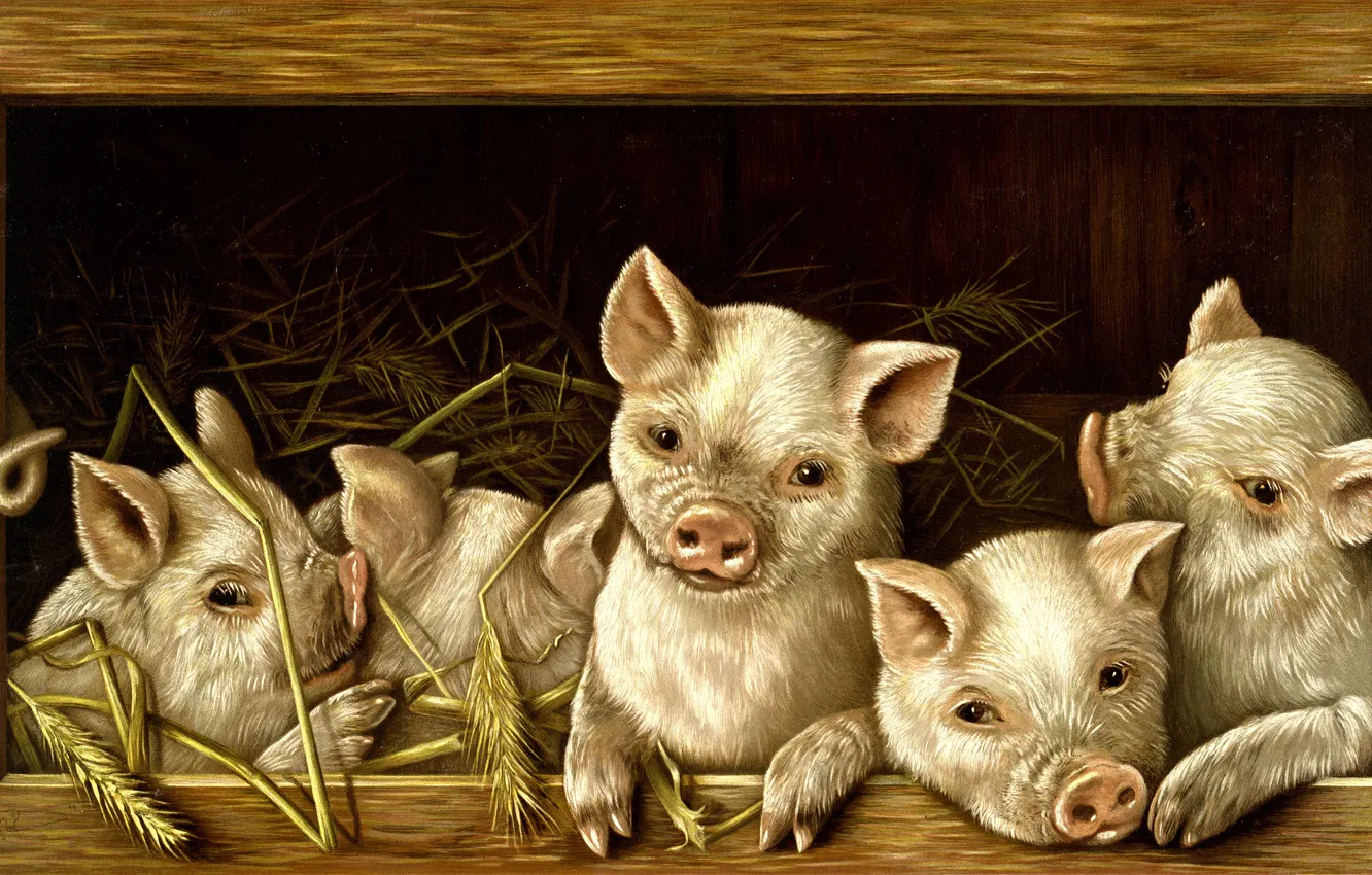 Photo wallpaper frame, picture, art, painting, pigs, pigs, pigs, pigs