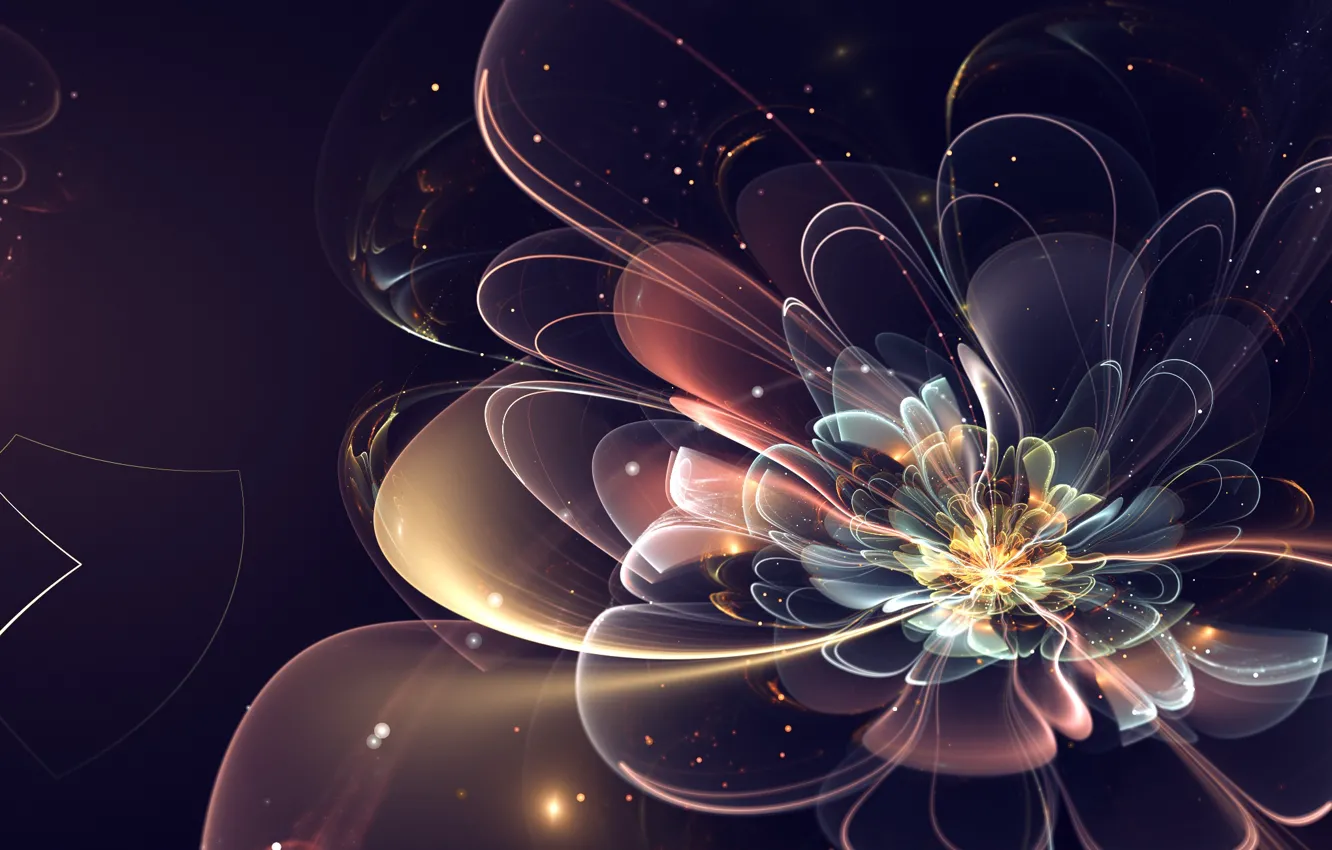 Photo wallpaper flower, abstraction, fractal