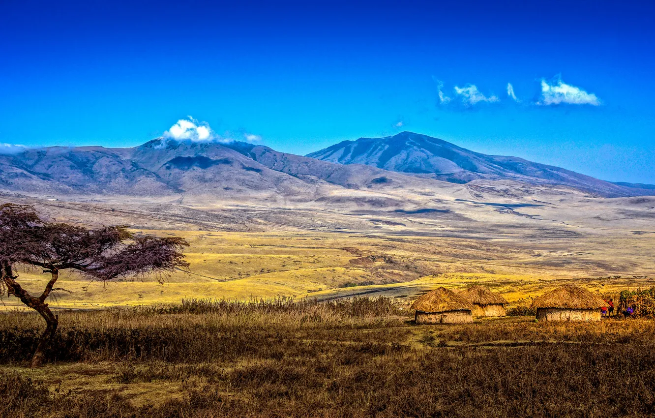 Photo wallpaper the sky, clouds, mountains, tree, valley, village, Africa, Tanzania