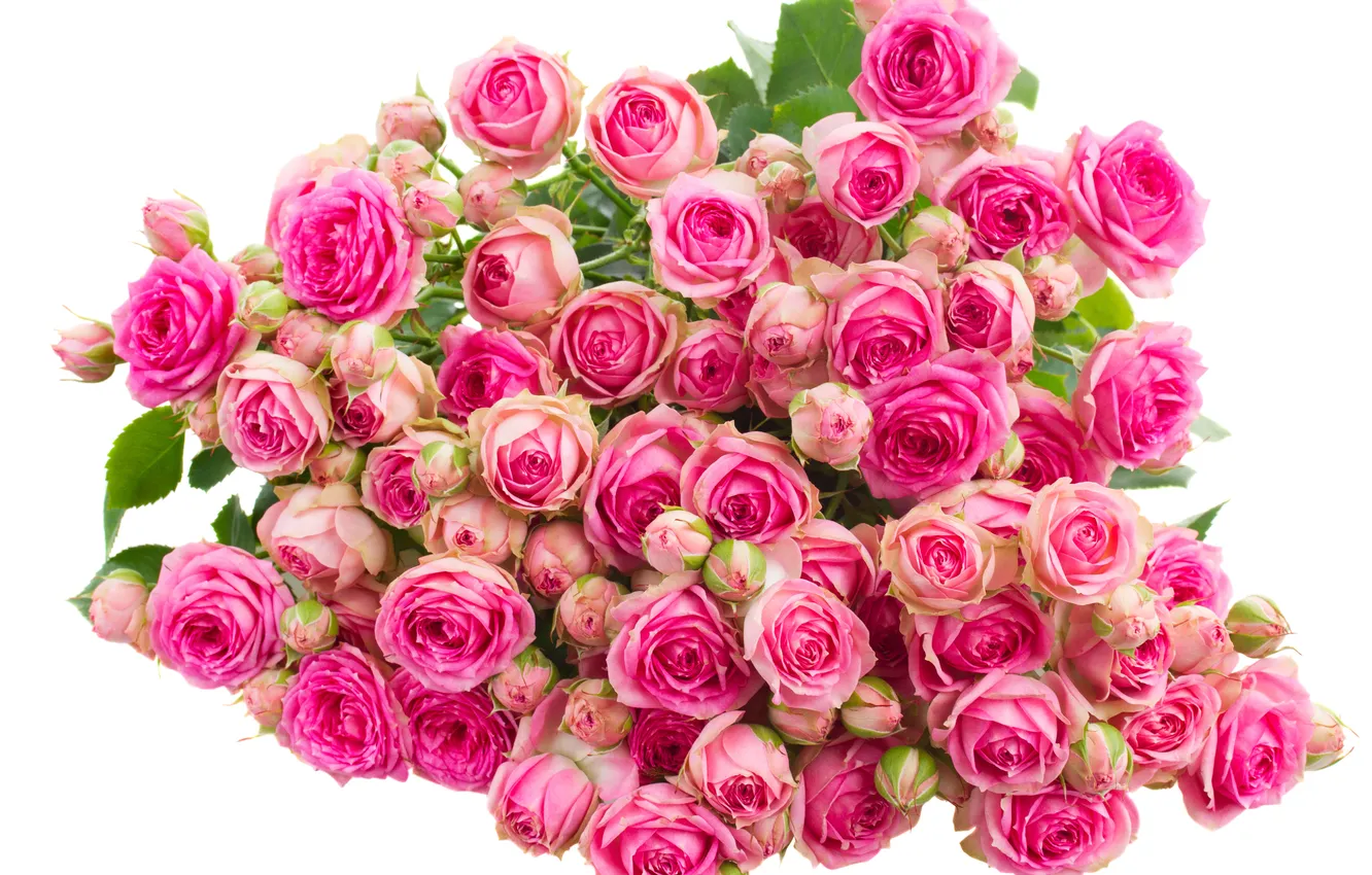 Photo wallpaper flowers, roses, bouquet, buds, flowers, bouquet, roses, flower buds