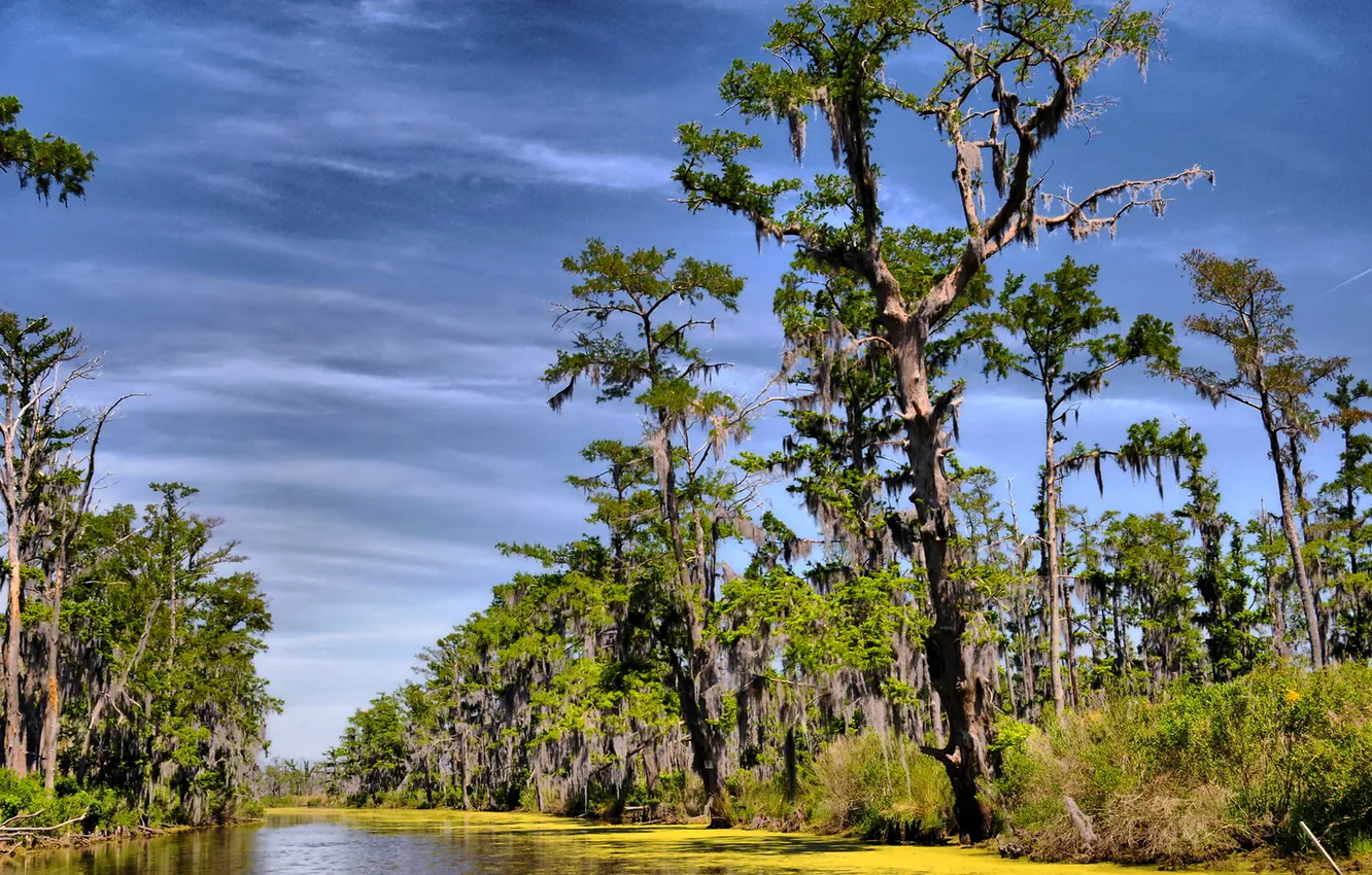 Photo wallpaper the sky, water, clouds, trees, river