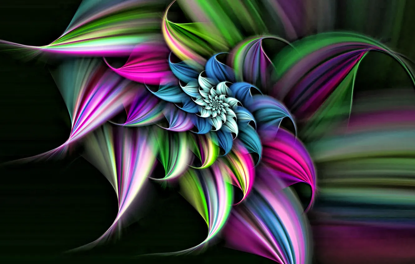 Photo wallpaper flower, line, background, spiral, the volume
