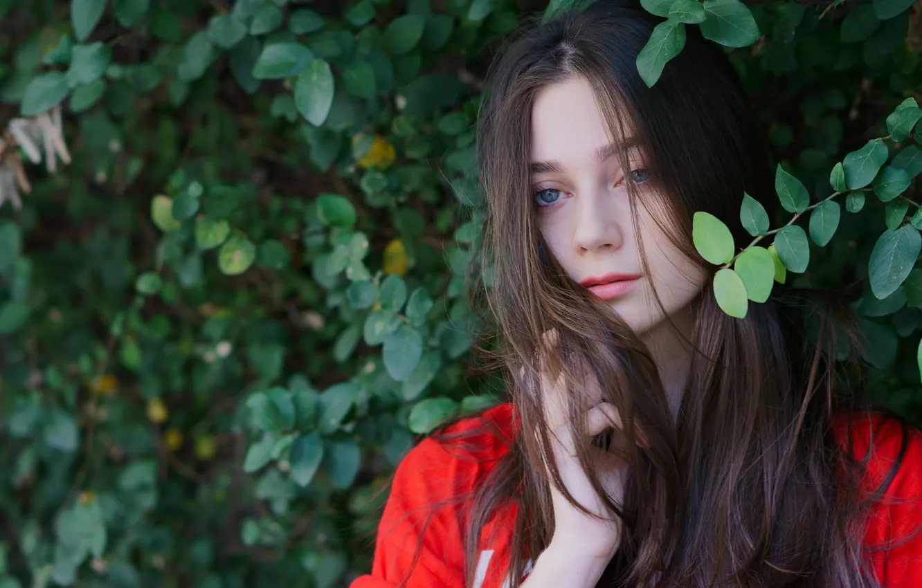 Photo wallpaper look, girl, hair, Julia