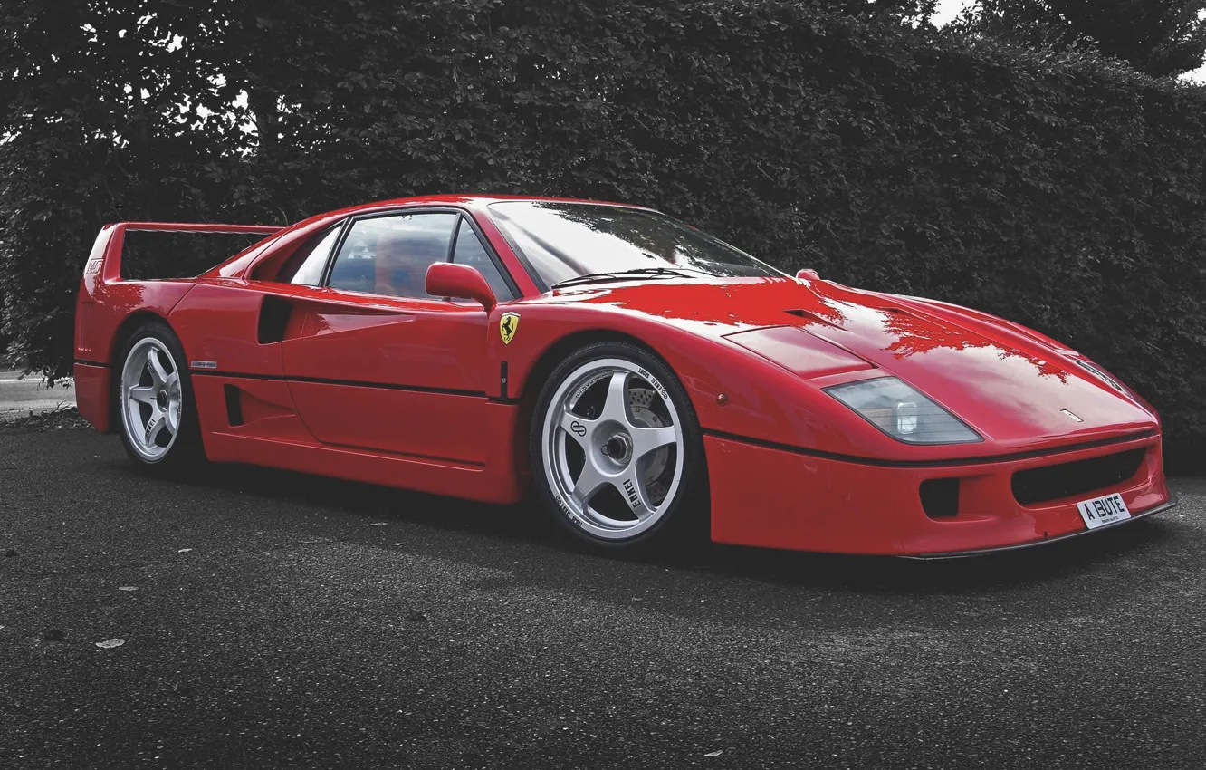 Photo wallpaper Red, Machine, Ferrari, F40, Car, F 40