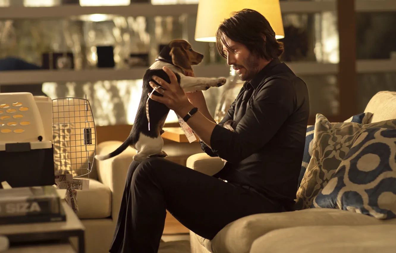 Photo wallpaper the film, dog, male, Keanu Reeves, John Wick, John Wick, Keanu reeves