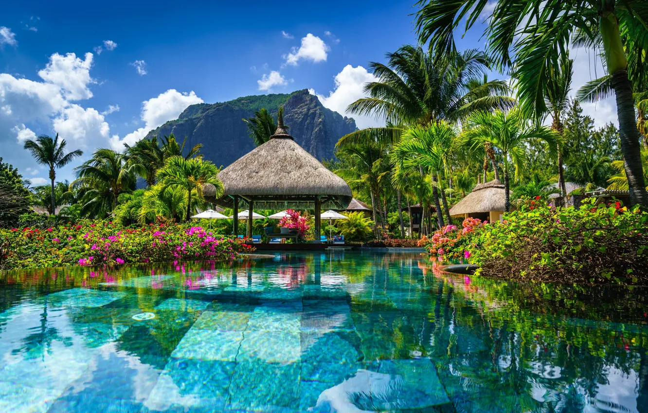 Photo wallpaper flowers, palm trees, rocks, pool, gazebo, Mauritius, Mauritius, Le Morne