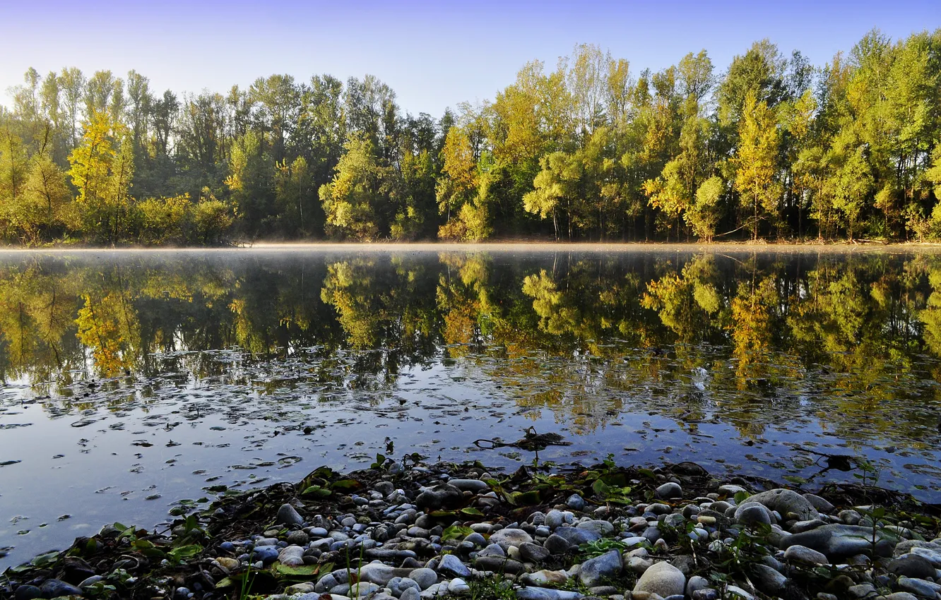 Photo wallpaper forest, trees, lake, reflection, river, stones