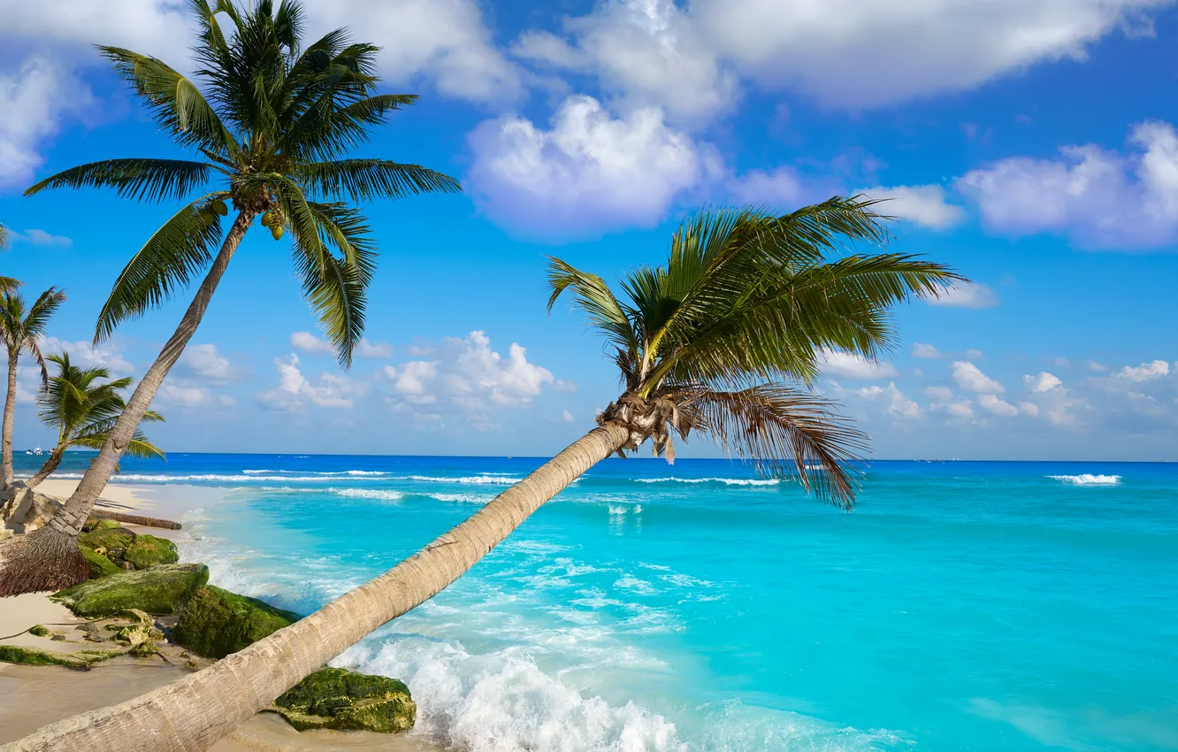 Photo wallpaper sand, sea, wave, beach, summer, the sky, palm trees, shore