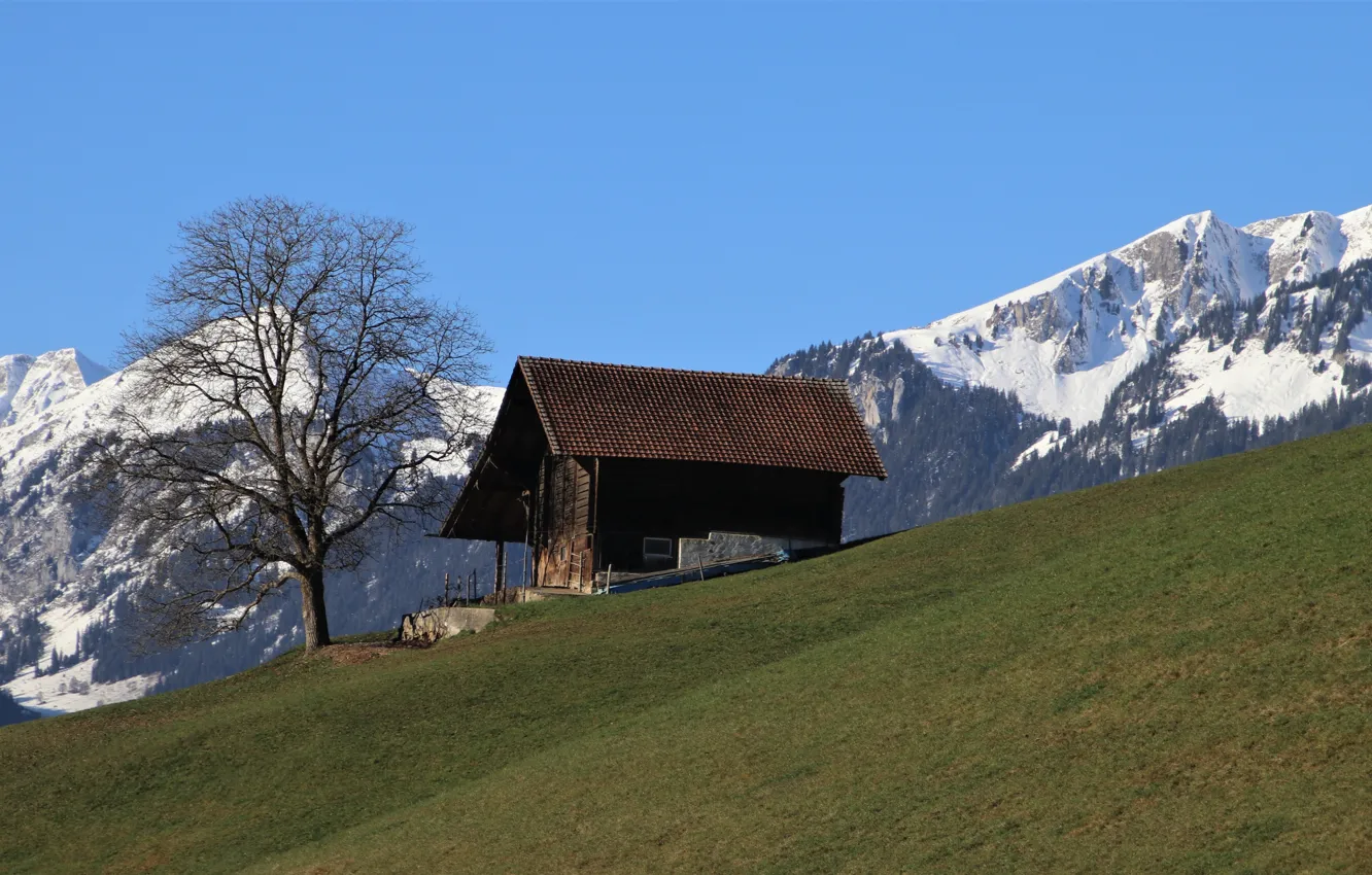 Photo wallpaper mountains, tree, Switzerland, Alps, house
