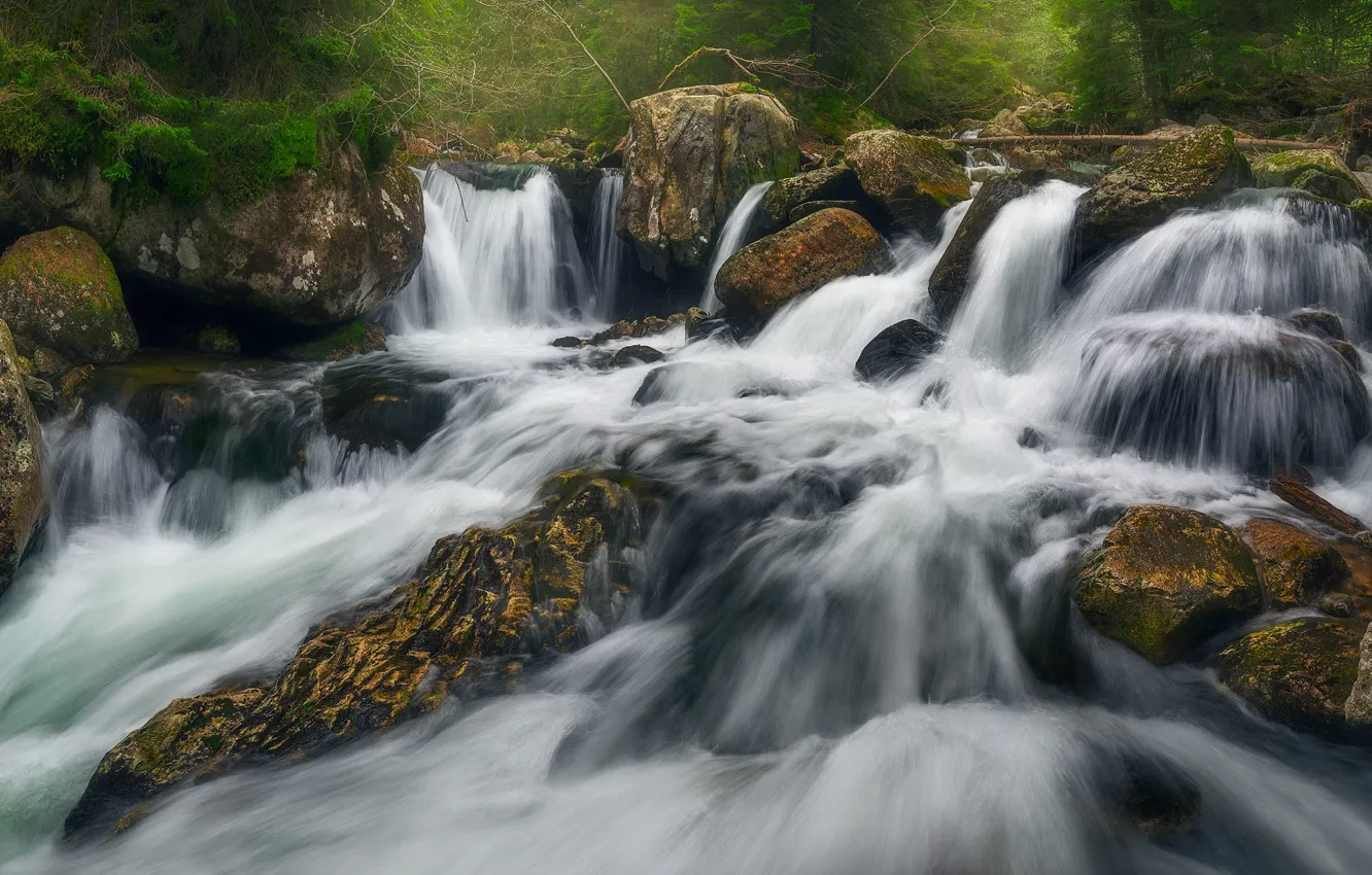 Photo wallpaper stones, vegetation, for, waterfall, stream, power, boulders