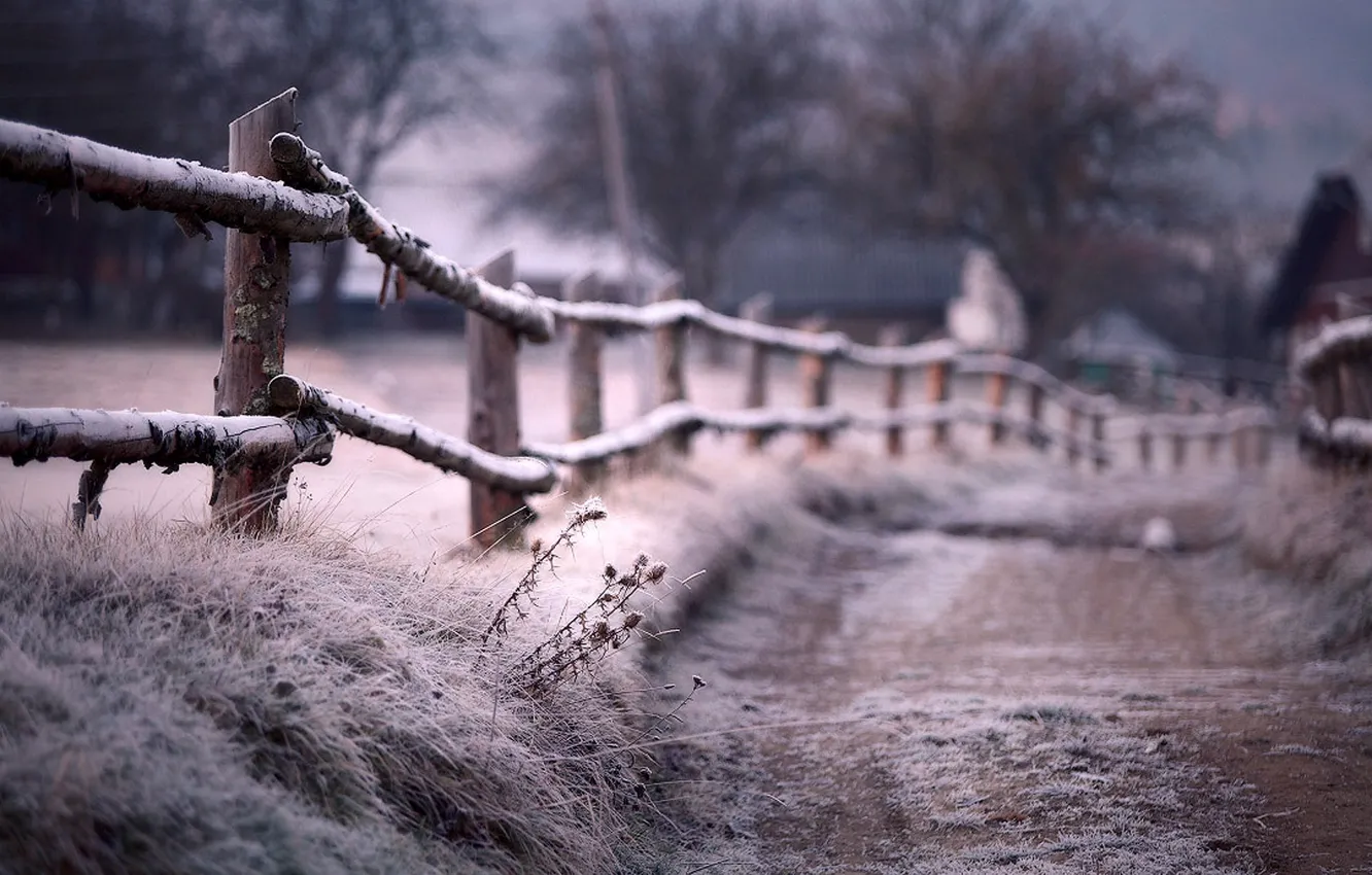 Photo wallpaper winter, frost, the fence, blur, path, fence