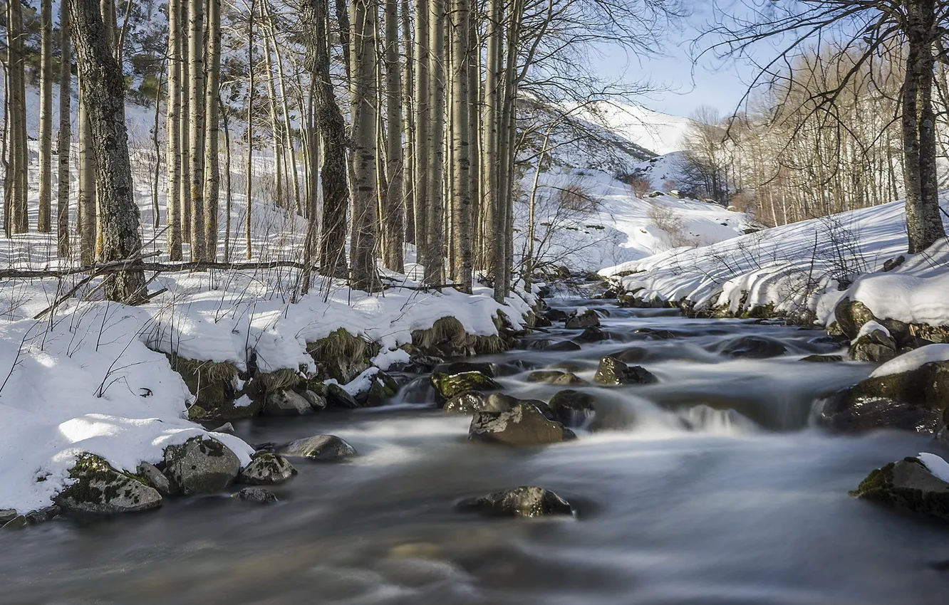 Photo wallpaper forest, landscape, nature, river, spring, Spain, Castille and Leon, Redipuertas