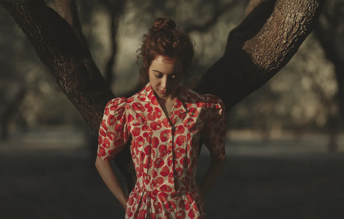 Photo wallpaper girl, face, background, tree, hair, dress