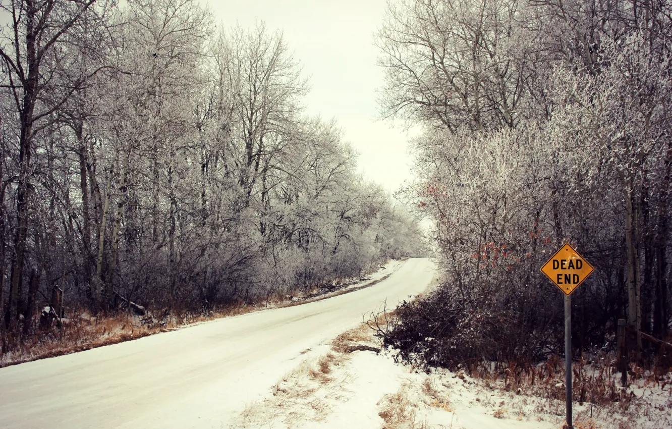 Photo wallpaper winter, road, forest, sign