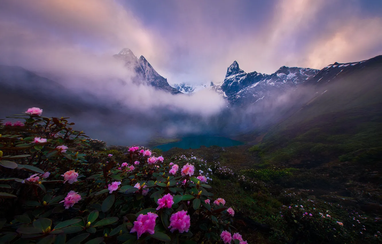 Photo wallpaper clouds, flowers, mountains, fog, lake, shore, haze, pink