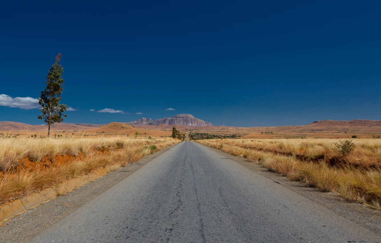 Photo wallpaper road, landscape, Madagascar