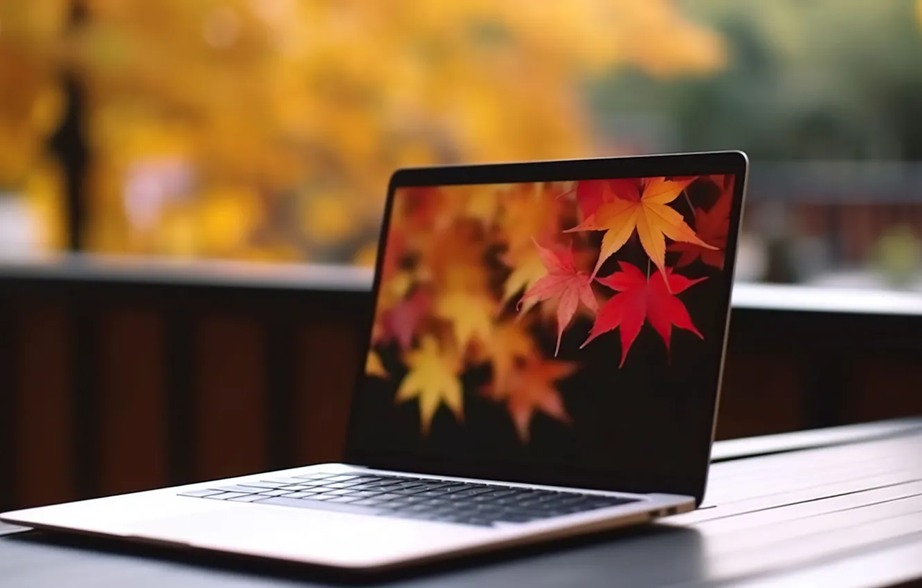 Photo wallpaper autumn, leaves, nature, table, foliage, balcony, laptop, gadget