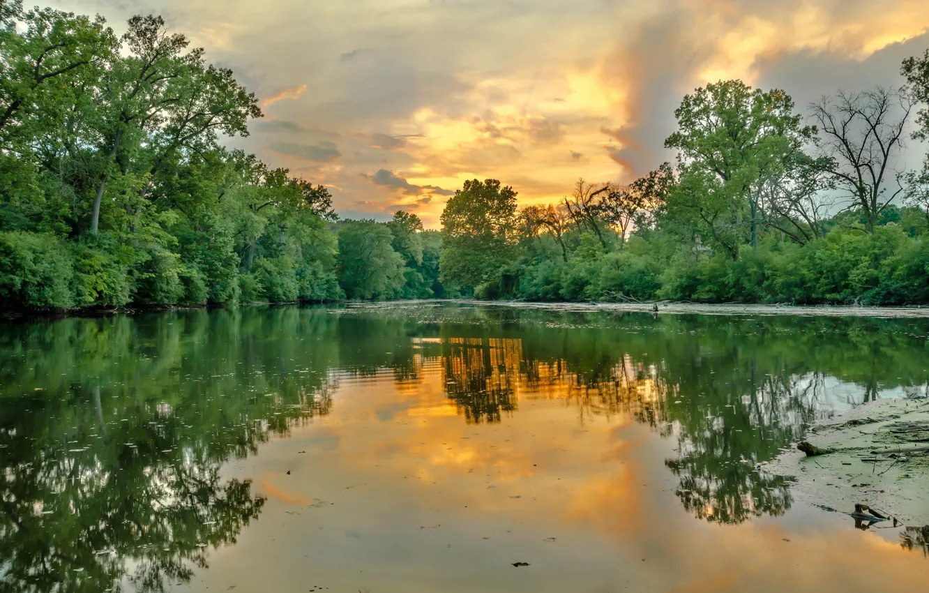 Photo wallpaper trees, lake, reflection