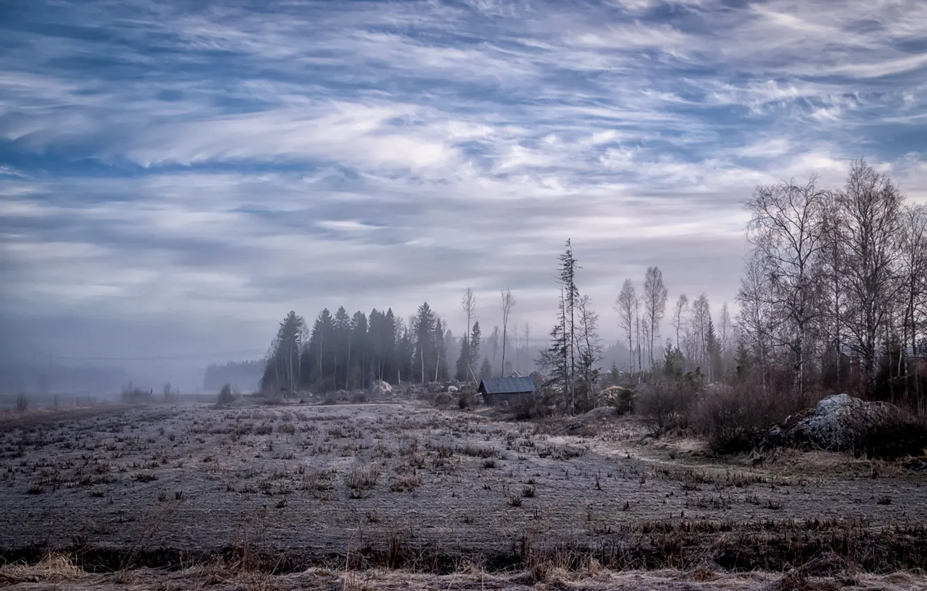 Photo wallpaper field, forest, fog, house