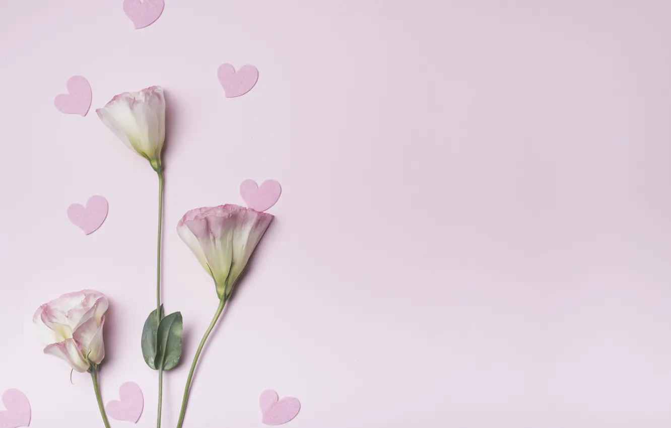 Photo wallpaper flowers, background, hearts, love, pink, pink, flowers, hearts