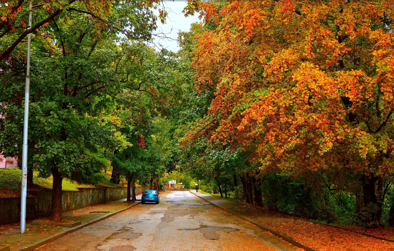 Photo wallpaper Road, Autumn, Trees, Machine, Car, Fall, Foliage, Autumn