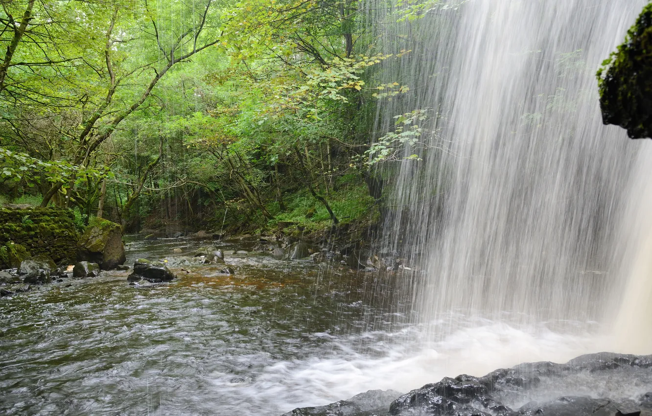 Photo wallpaper forest, squirt, river, waterfall