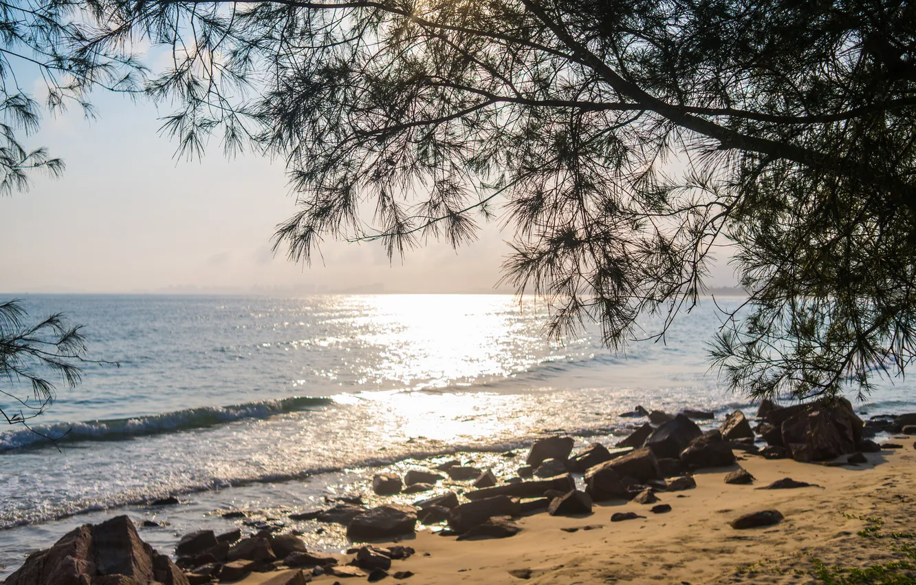 Photo wallpaper sand, sea, beach, branches, stones