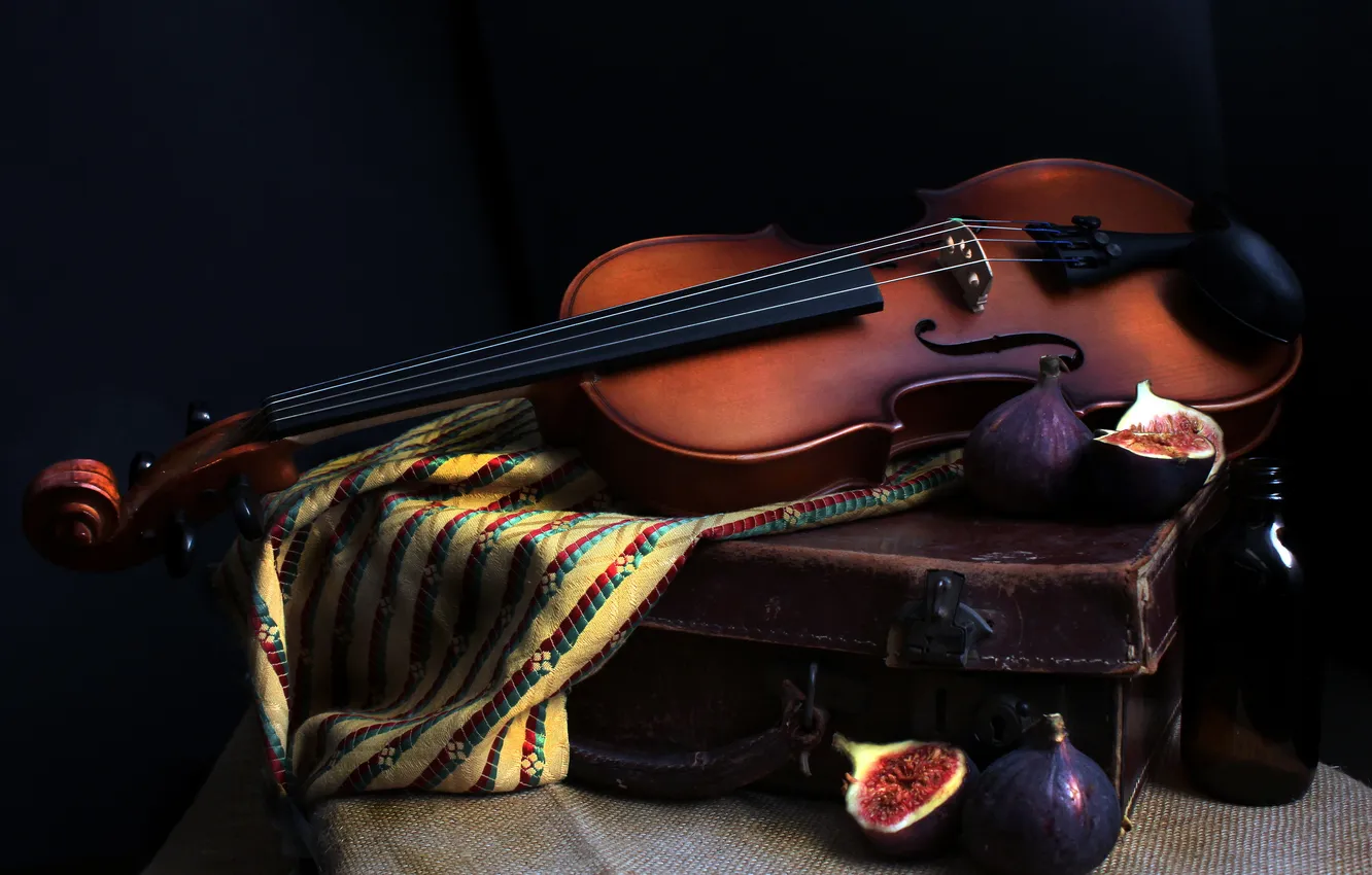 Photo wallpaper music, violin, figs