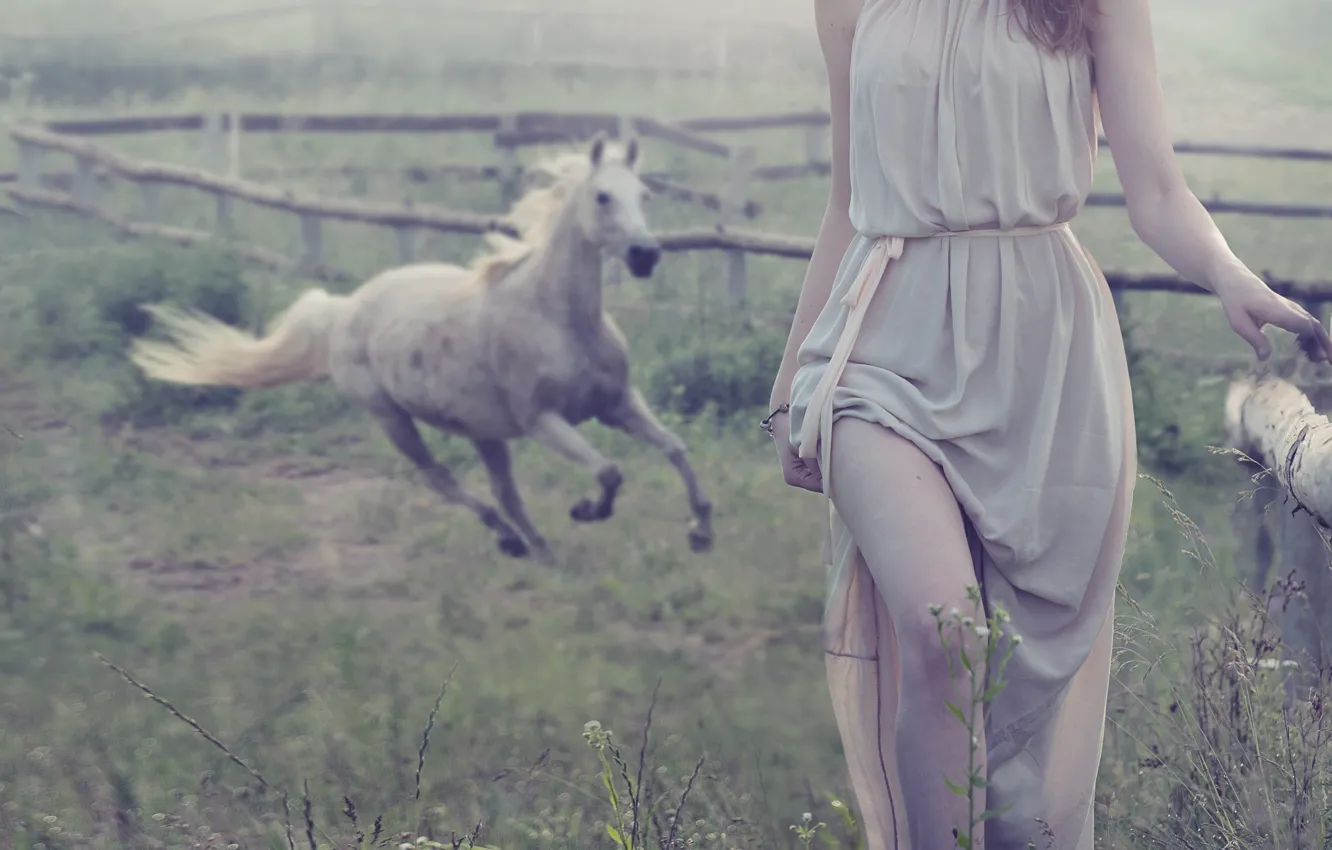 Photo wallpaper girl, fog, horse, fence, brown hair