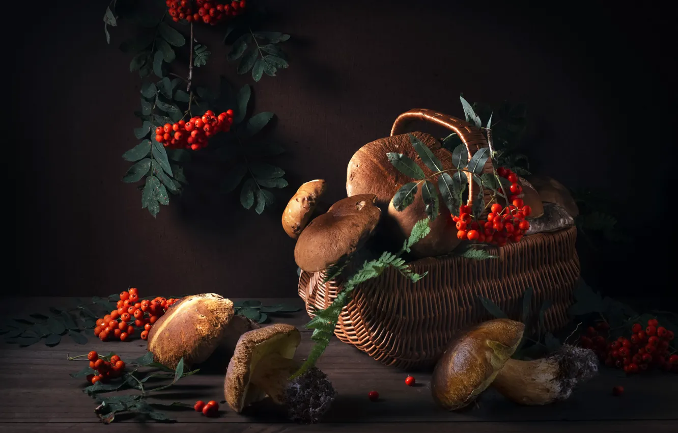 Photo wallpaper berries, basket, mushrooms, Rowan, bunches, Maxim Vyshar
