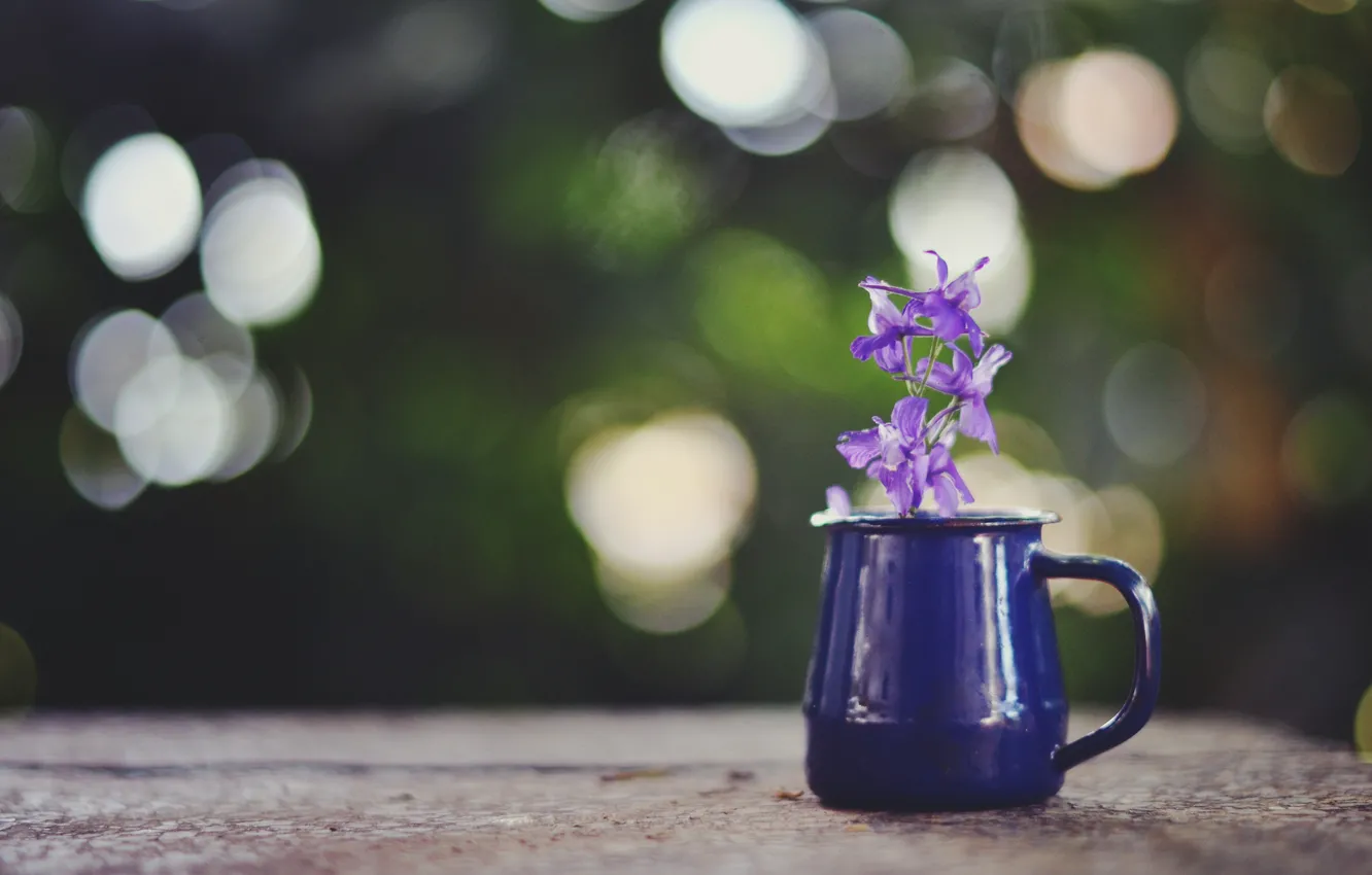 Photo wallpaper flower, purple, glare, mug