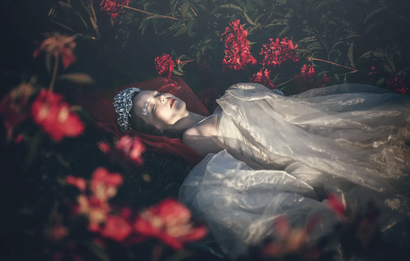 Photo wallpaper girl, flowers, sleep, peonies, Last beam of light