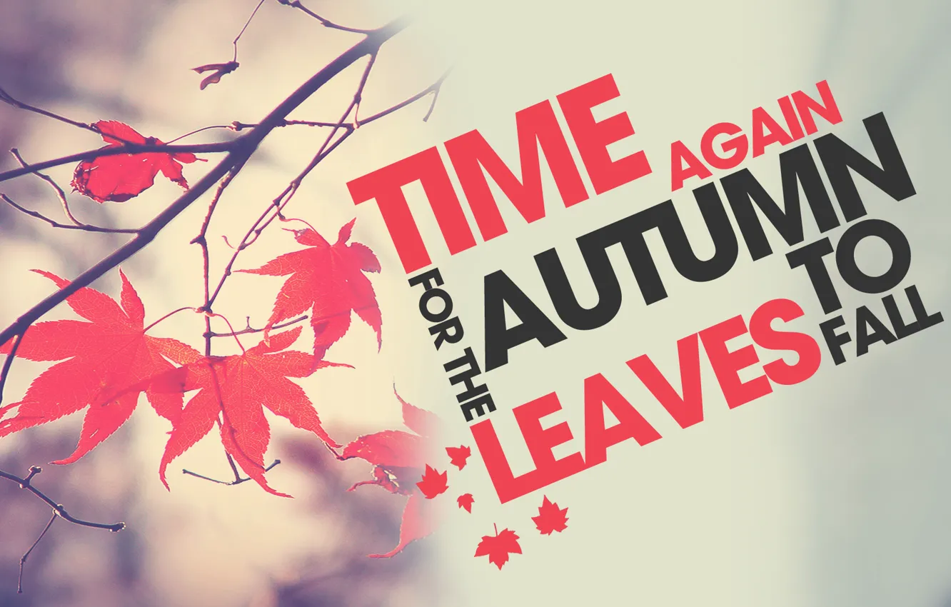 Photo wallpaper autumn, leaves, branch, time of the year, Time to Fall