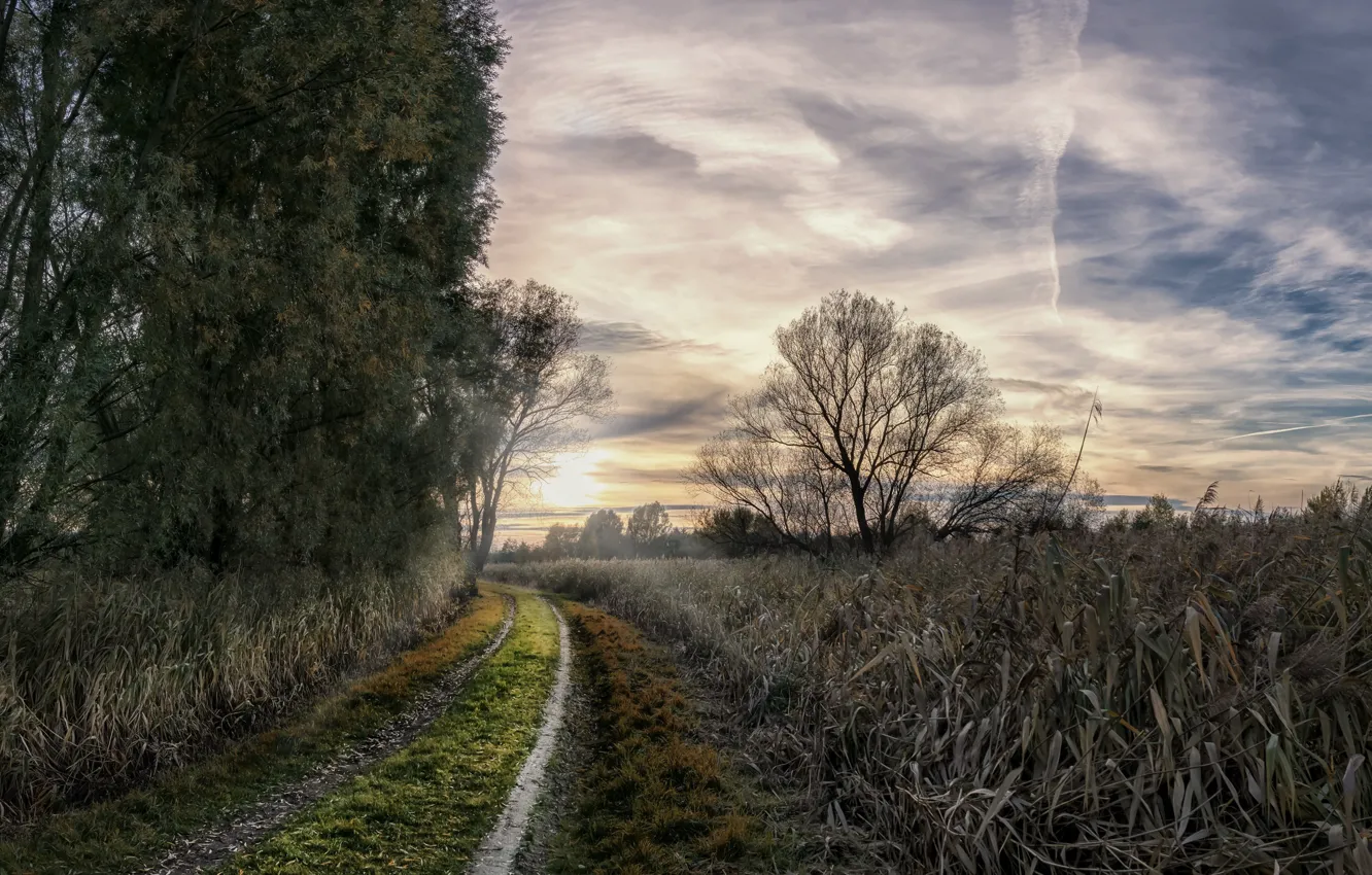 Photo wallpaper road, nature, morning