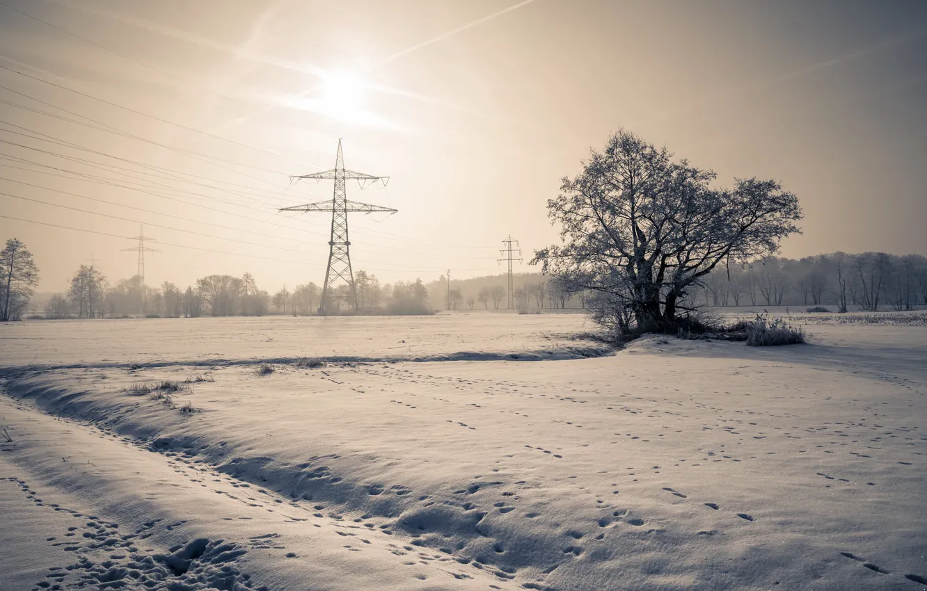 Photo wallpaper winter, snow, morning