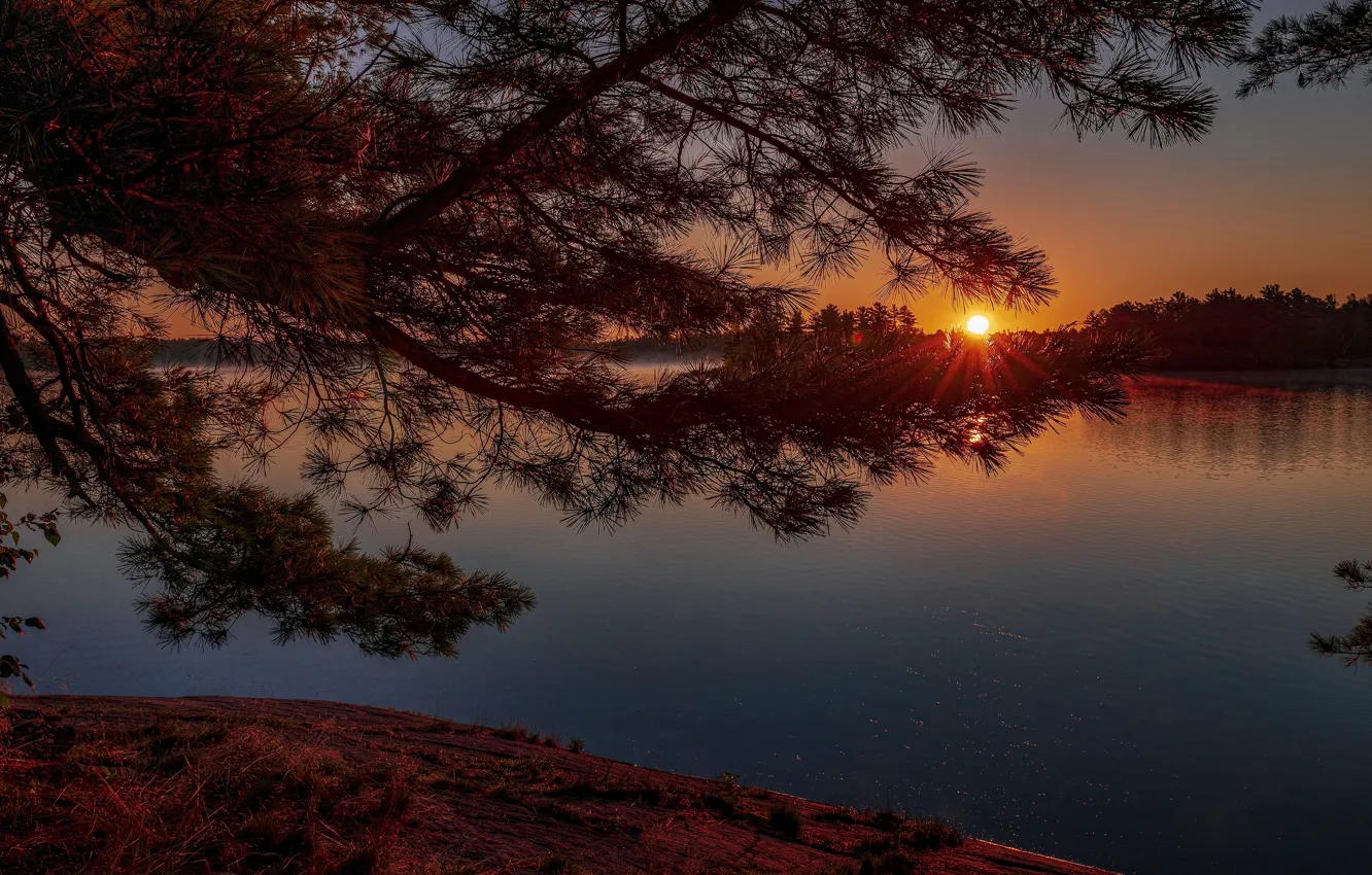 Photo wallpaper the sun, rays, light, trees, sunset, branches, lake, shore