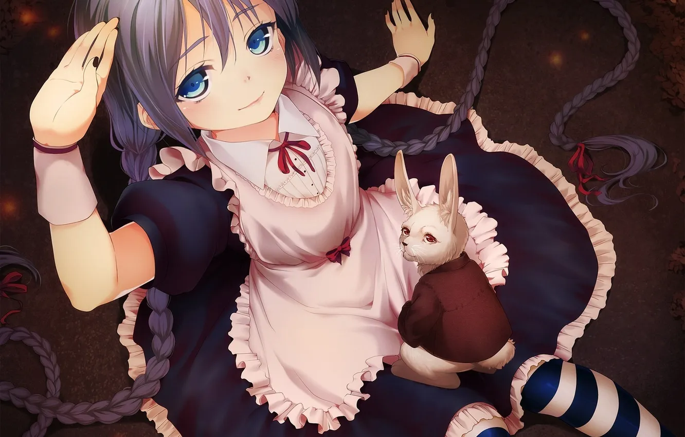 Photo wallpaper girl, anime, rabbit, art, braids, vocaloid, hatsune miku, Alice in Wonderland