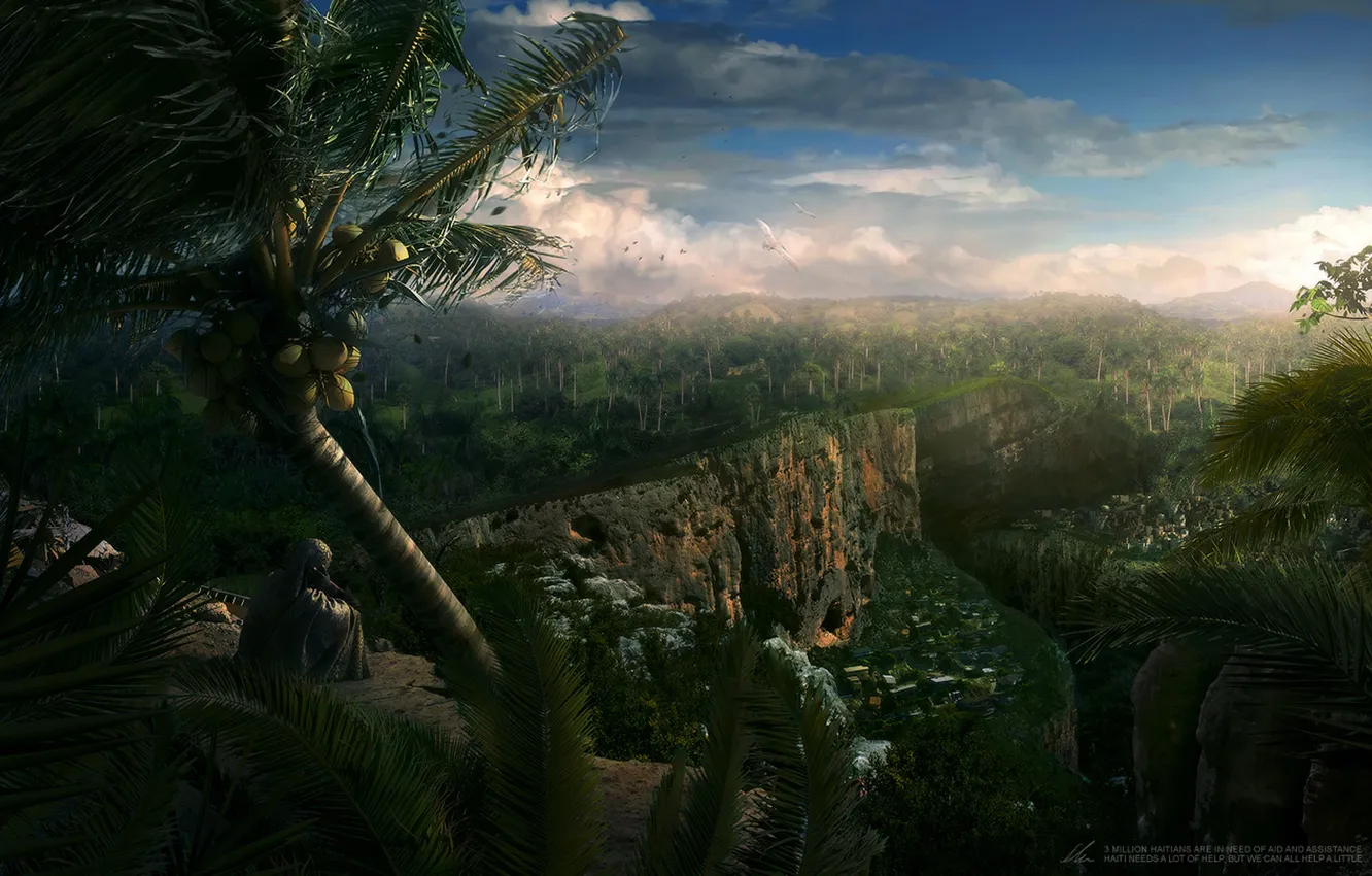 Photo wallpaper nature, death, For Haiti