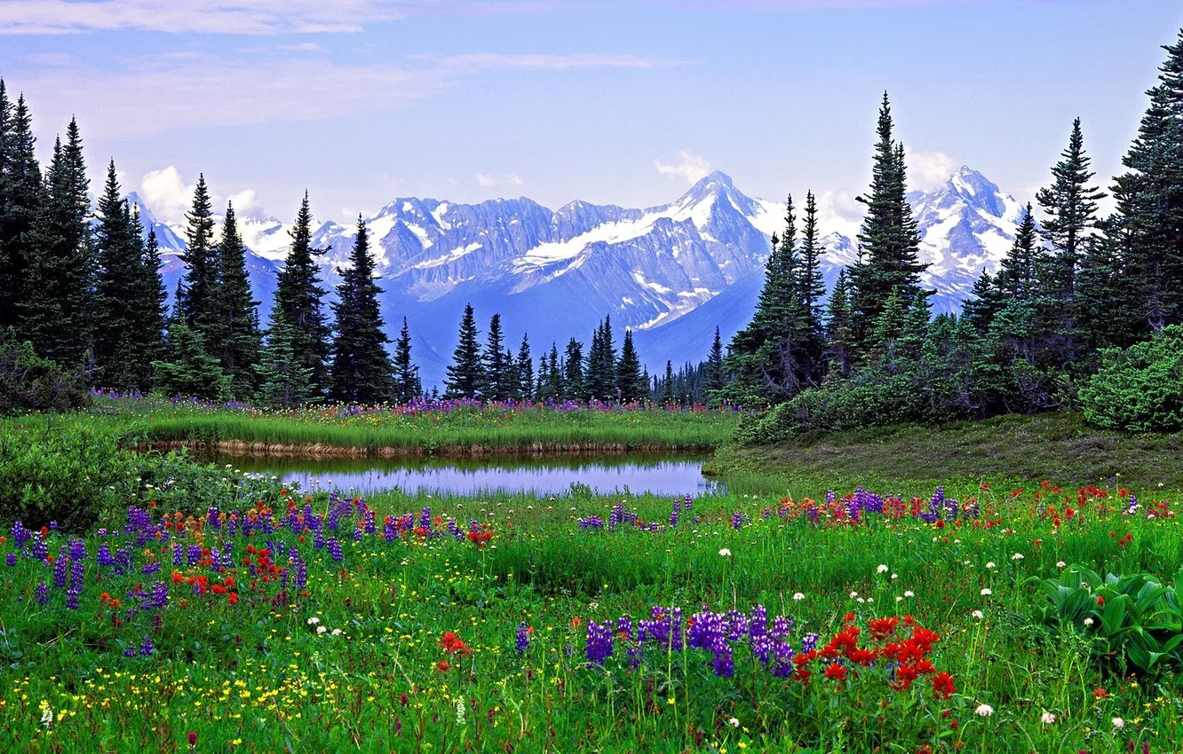 Photo wallpaper trees, landscape, flowers, mountains