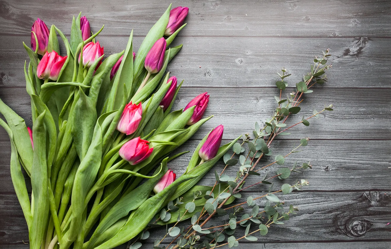 Photo wallpaper flowers, bouquet, tulips, pink