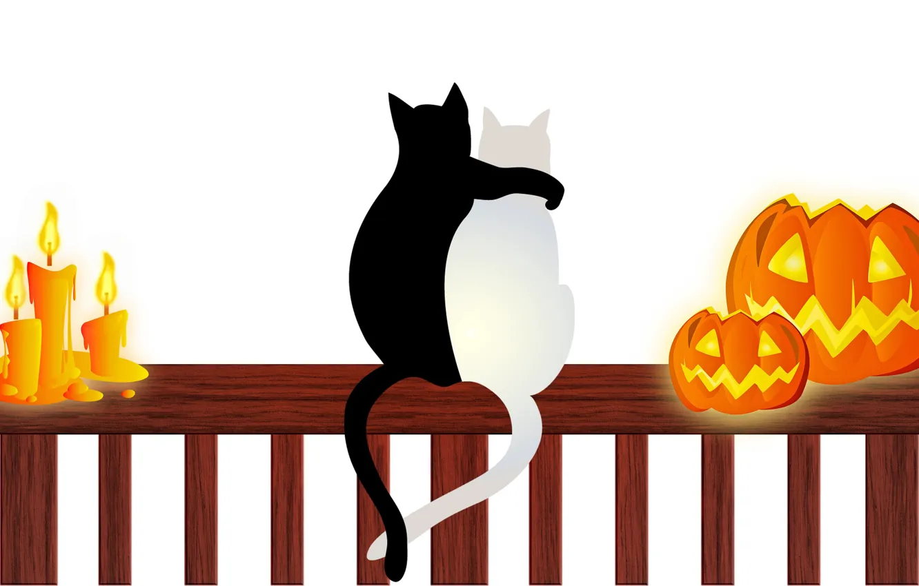 Photo wallpaper cats, candles, pumpkin, Halloween, 31 Oct