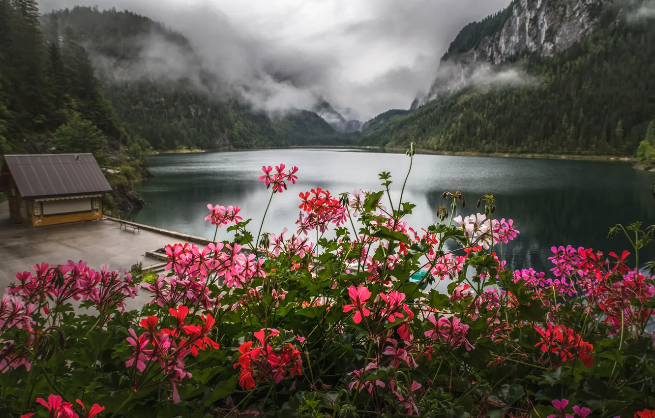 Photo wallpaper forest, trees, flowers, mountains, fog, lake, house, geranium