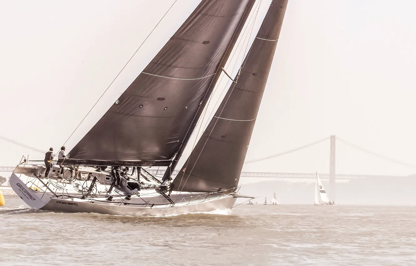 Photo wallpaper the wind, team, sails, course, the Bay of San Francisco, sports yacht, Racer yacht, racing …