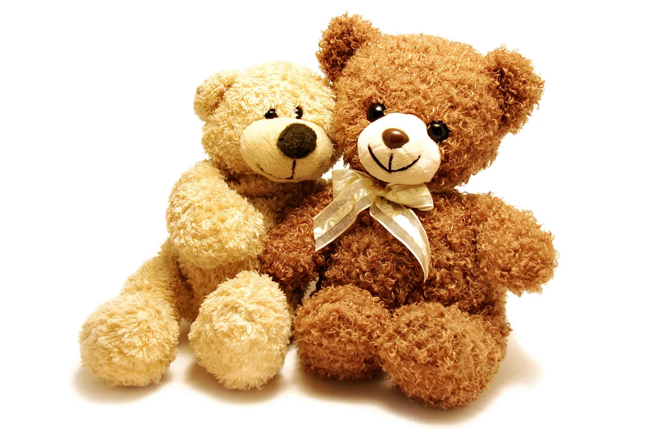 Photo wallpaper toy, bear, pair, plush, toy, bear, teddy, cute