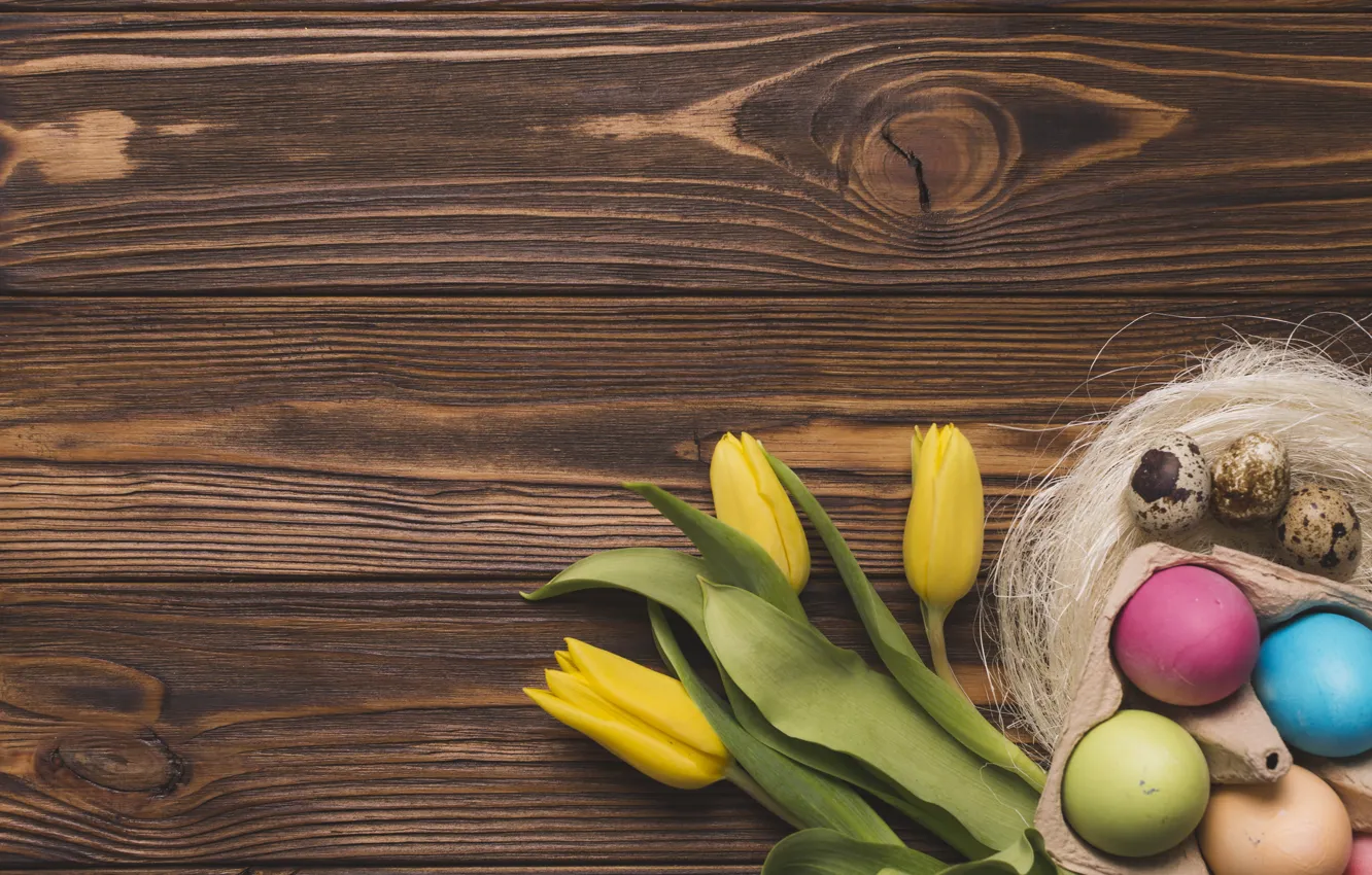 Photo wallpaper flowers, spring, colorful, Easter, tulips, wood, flowers, tulips