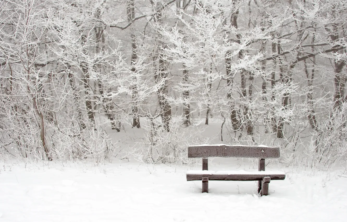 Photo wallpaper winter, snow, landscape, nature, shop