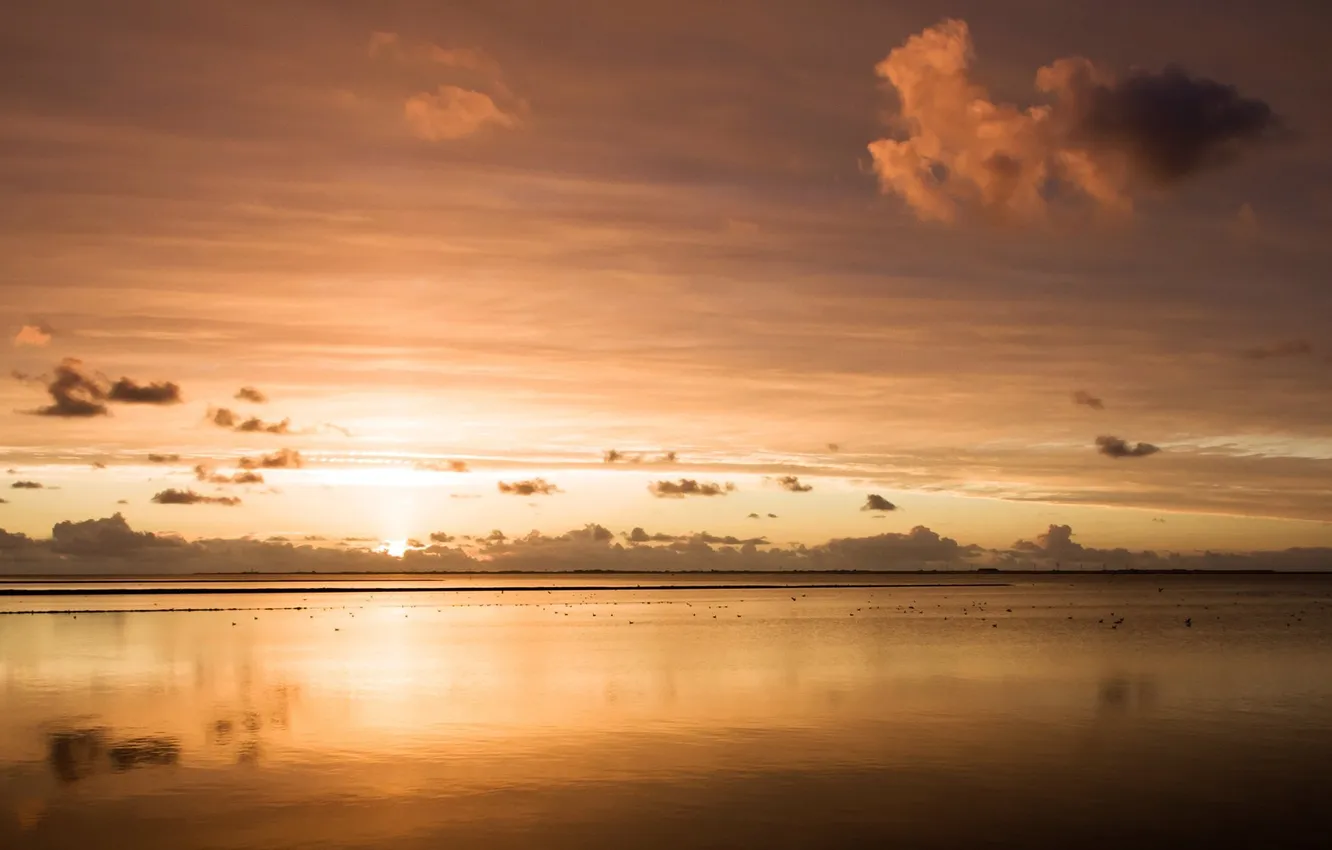 Photo wallpaper sea, sunset, the evening