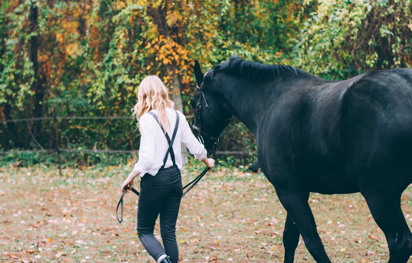 Photo wallpaper girl, animal, horse, horse, blonde