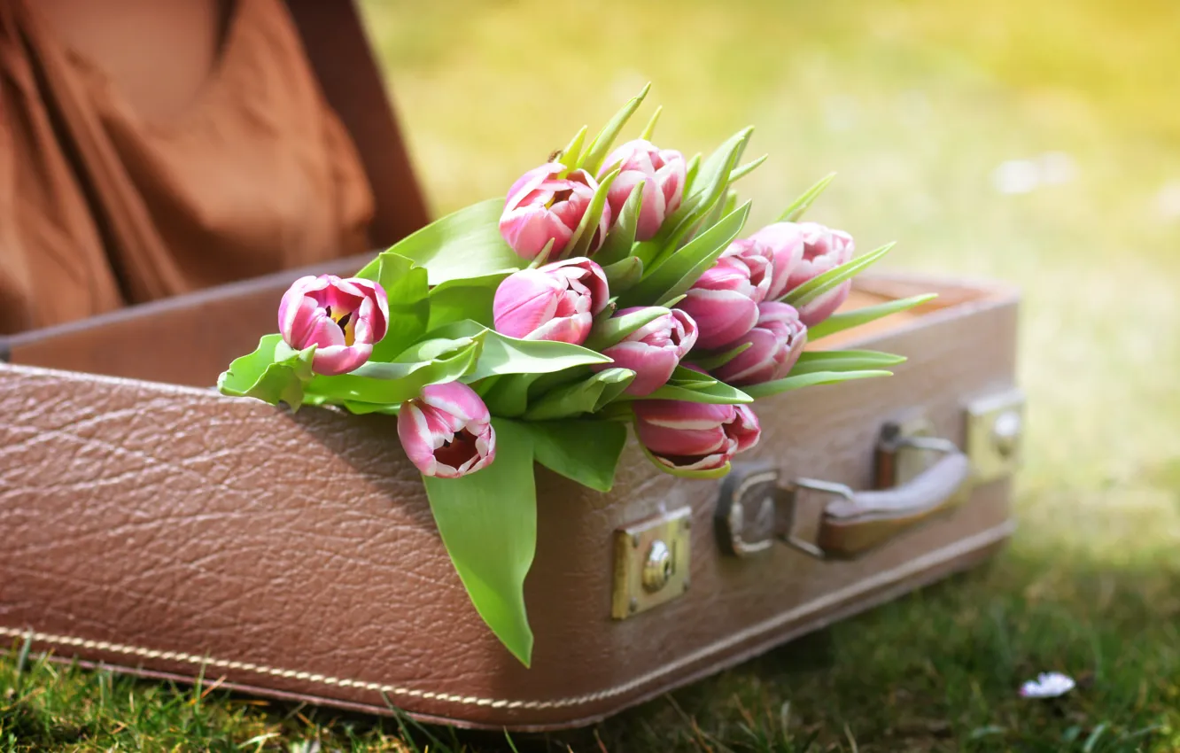 Photo wallpaper grass, flowers, nature, tulips, suitcase